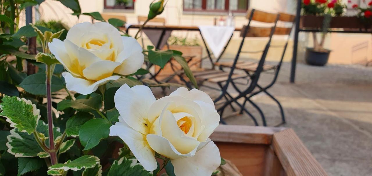 Hotel "Pension Marlis" Garni Reichenberg  Esterno foto