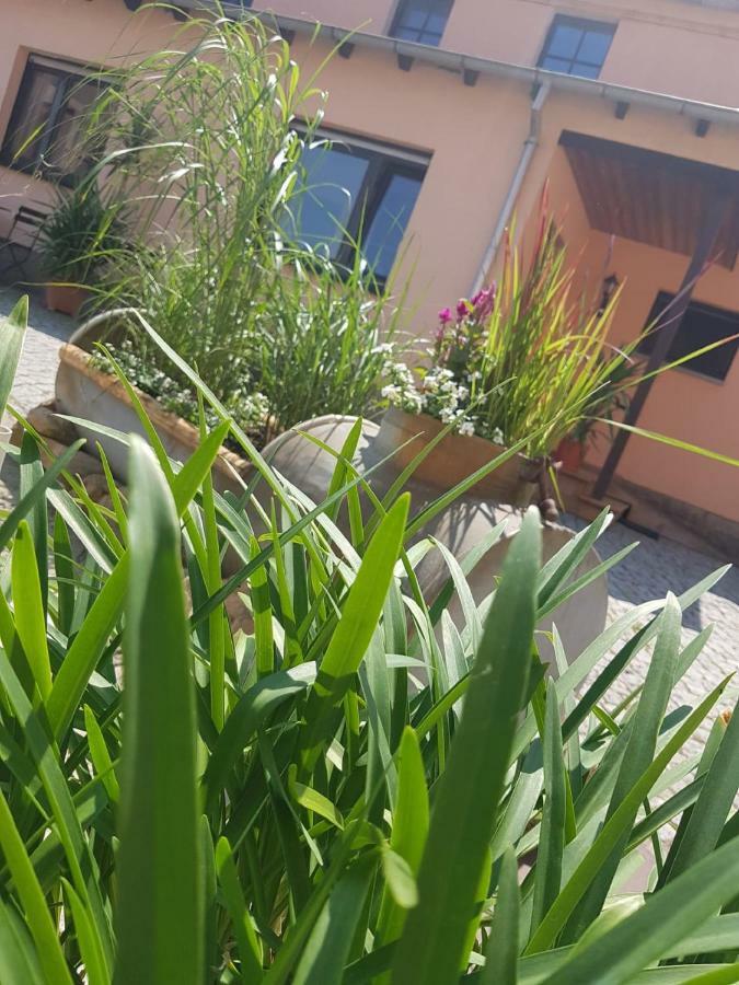 Hotel "Pension Marlis" Garni Reichenberg  Esterno foto